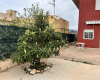 Paraje De Los Coloraos, Almería 04200, 1 Bedroom Bedrooms, 1 Room Rooms,2 BathroomsBathrooms,Cortijo,En Venta,Paraje De Los Coloraos,1184