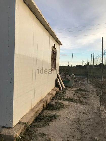 Al-3117, Pechina, Almería 04250, 1 Bedroom Bedrooms, ,Terreno Rústico,En Venta,Al-3117,1197