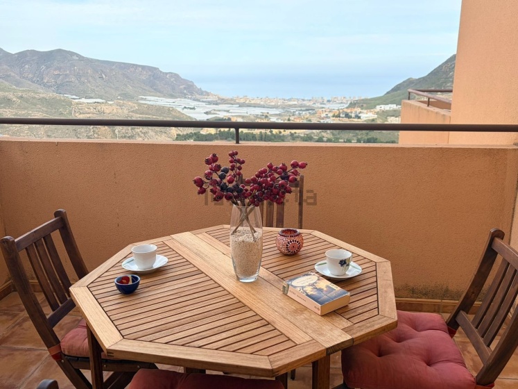 Piso en venta en Calle las Encinas, Almería, 1 Dormitorio Habitaciones, 0 ,1 BañoBaño,Piso,En Venta,Piso en venta en Calle las Encinas,0,1057